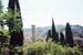fiesole-0490